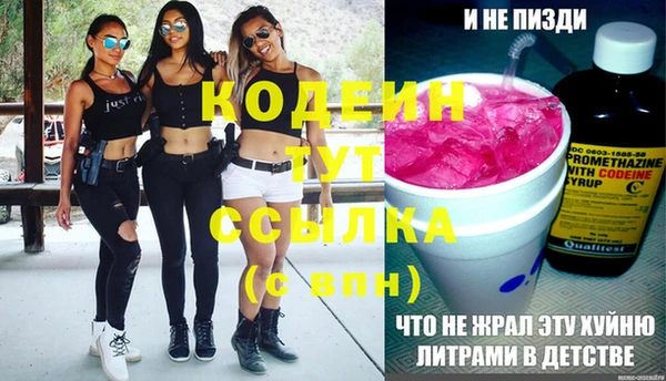 трава Гусиноозёрск