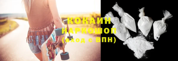 дурь Гусев