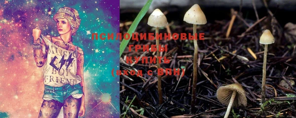 трава Гусиноозёрск