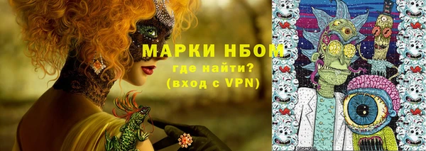 дурь Гусев