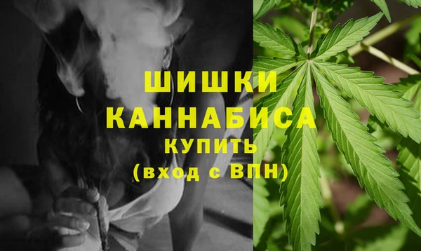 дурь Гусев