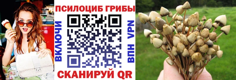 omg вход  Иланский  Галлюциногенные грибы мухоморы  shop какой сайт  купить закладку 